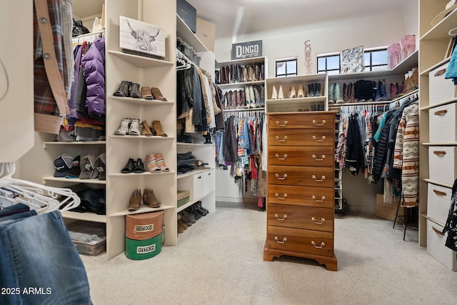 view of walk in closet