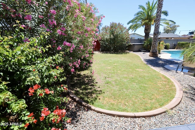 711 W El Alba Way, Chandler, AZ 85225 - view of yard