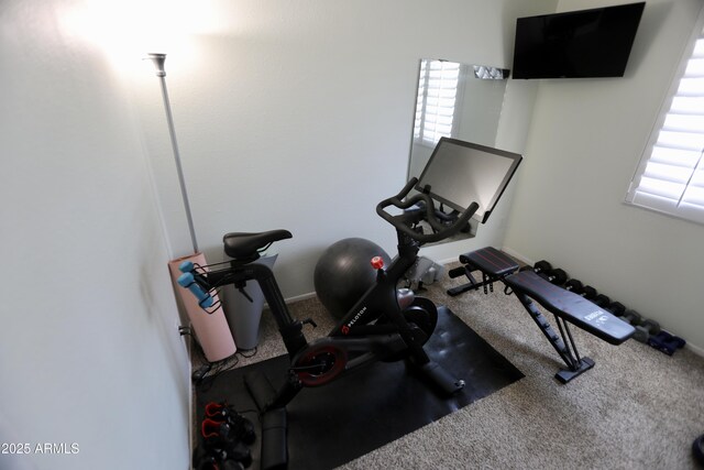 711 W El Alba Way, Chandler, AZ 85225 - workout area with carpet floors