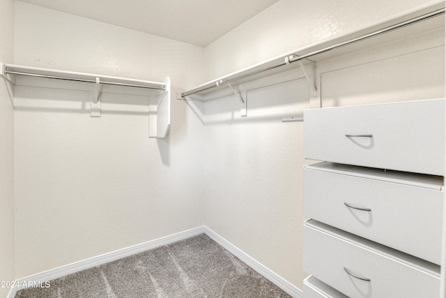 spacious closet with carpet flooring