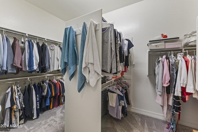 walk in closet featuring carpet flooring