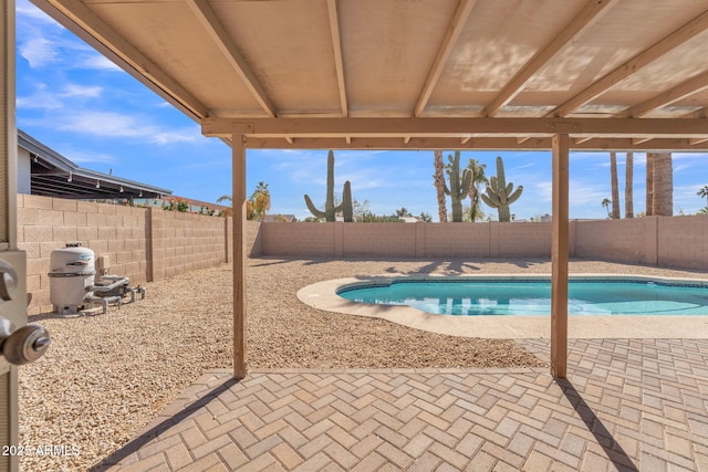 view of swimming pool with a patio