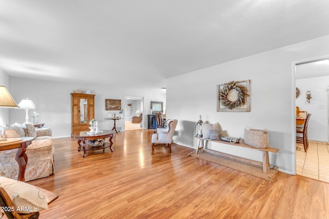 living room featuring light wood-type flooring