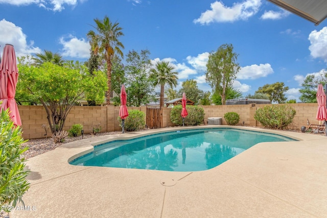 2508 N Karen Dr, Chandler, AZ 85224 - view of swimming pool with a patio area and a fenced backyard