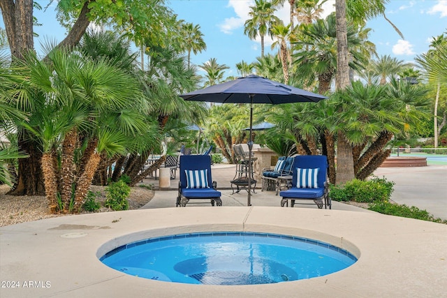 view of pool featuring a patio area