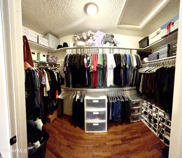 spacious closet with wood finished floors