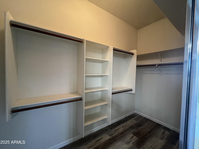 spacious closet featuring dark wood-type flooring