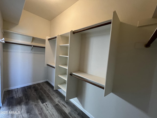 spacious closet with dark wood-style floors