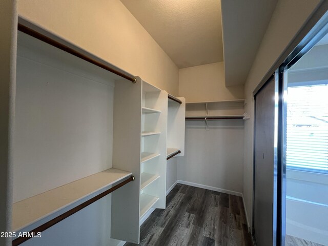 spacious closet with dark wood-style flooring