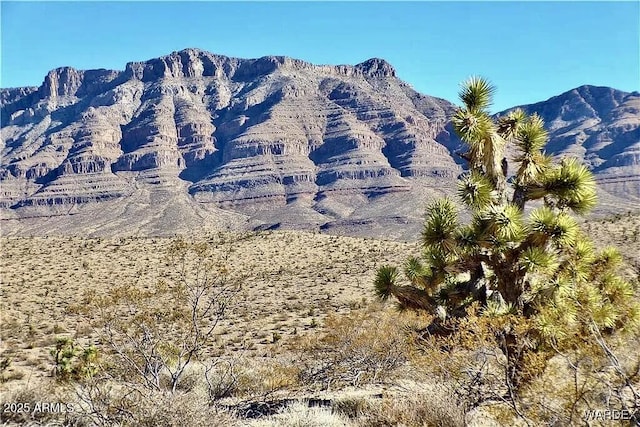 165 Ivy Ln Unit 165, Meadview, AZ 86444