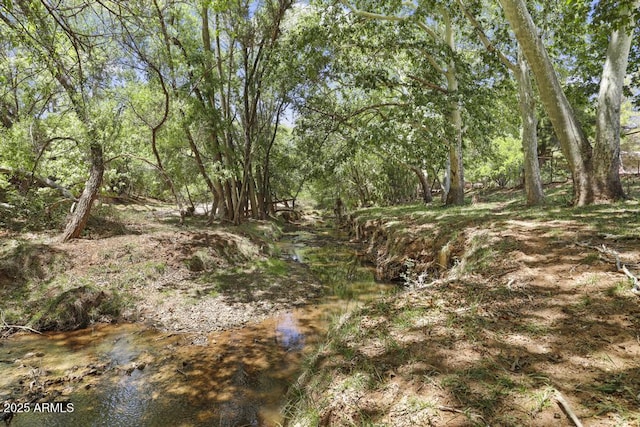 2137 N Flowing Springs Rd, Payson, AZ 85541 - view of undeveloped land