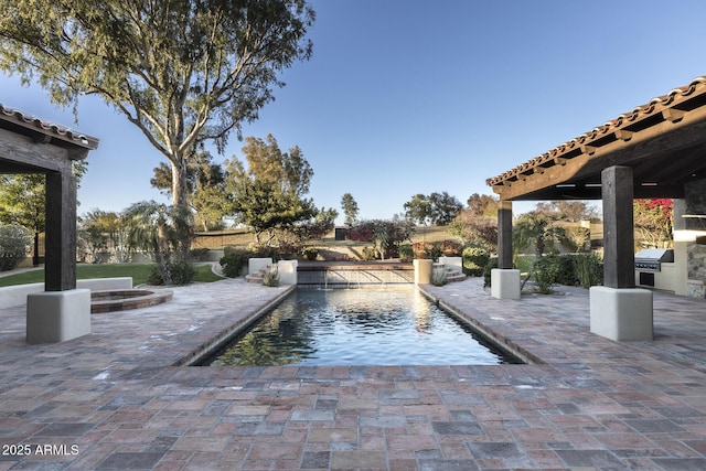 view of pool featuring area for grilling and a patio area