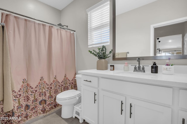 bathroom with toilet and vanity