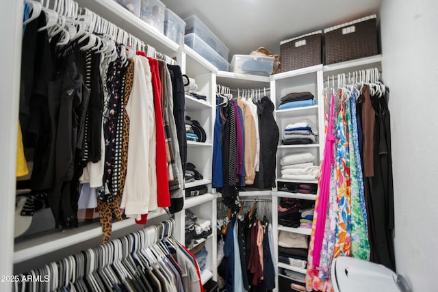 view of walk in closet