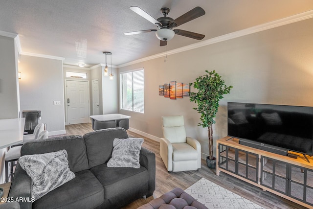 living area featuring baseboards, a textured ceiling, wood finished floors, and crown molding