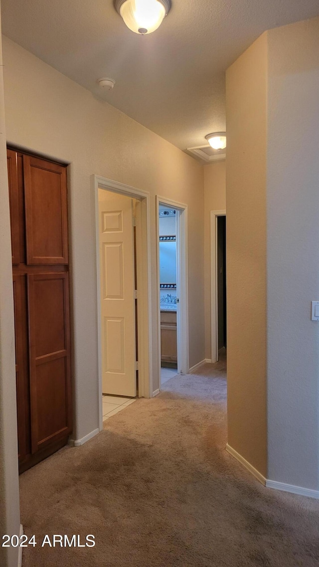 3347 W Steinbeck Dr, Anthem, AZ 85086 - corridor featuring light colored carpet and baseboards