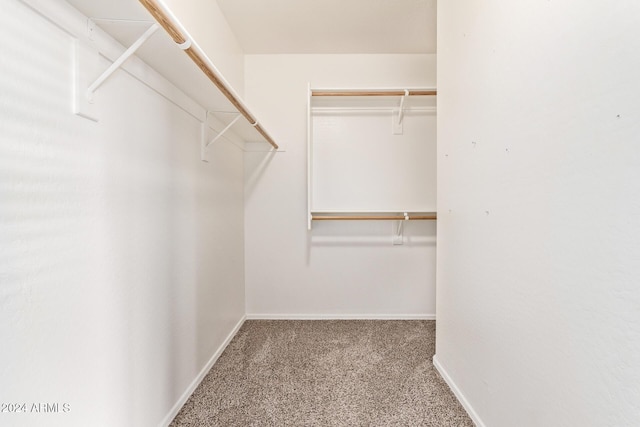 spacious closet with carpet flooring