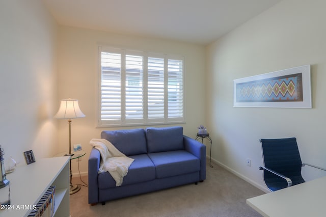 home office with carpet flooring