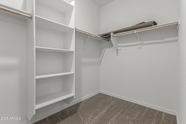 spacious closet with carpet