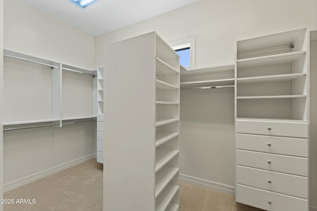 spacious closet featuring carpet floors