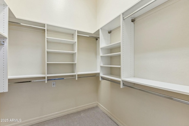 spacious closet with carpet floors