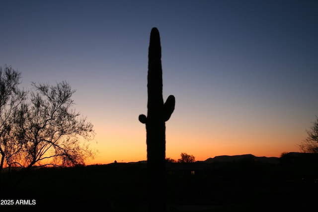 view of nature at dusk