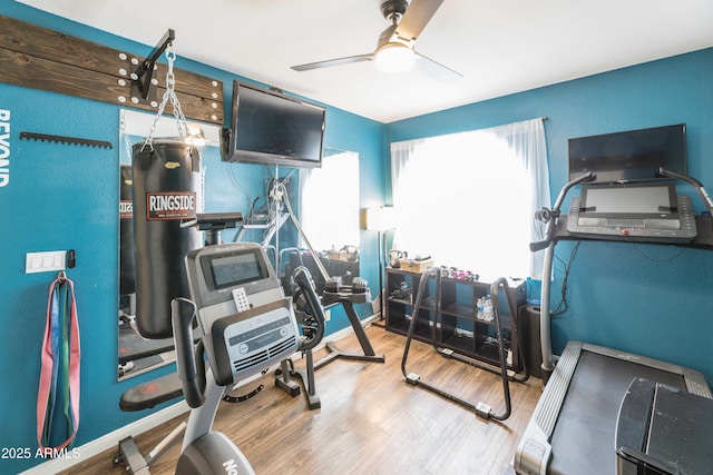 workout room with ceiling fan and wood finished floors