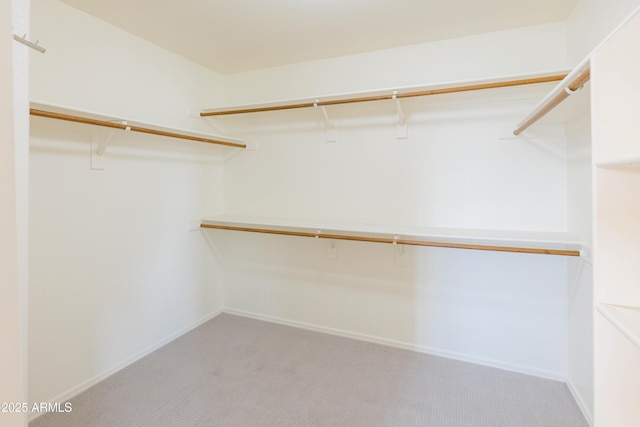 walk in closet featuring light carpet