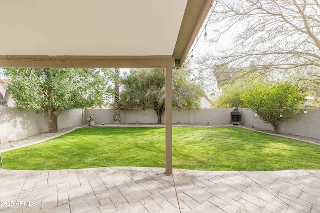 view of yard with a patio and a fenced backyard