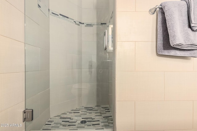 full bathroom featuring a shower stall and toilet