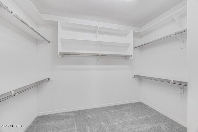 walk in closet featuring carpet flooring