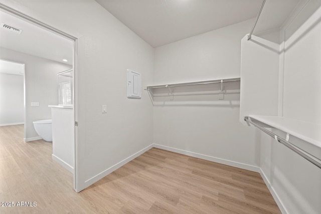 651 W Laredo St, Chandler, AZ 85225 - walk in closet with light wood-type flooring