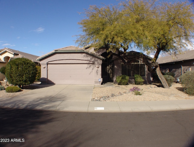 4506 E Lone Cactus Dr, Phoenix, AZ 85050 - view of front facade featuring concrete driveway, a garage, and stucco siding