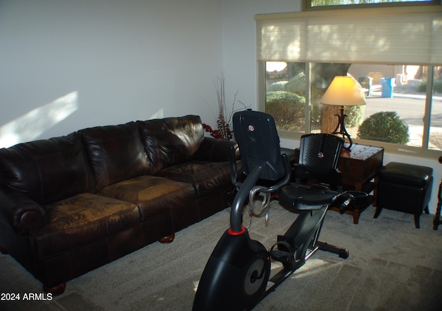 4506 E Lone Cactus Dr, Phoenix, AZ 85050 - view of carpeted living room