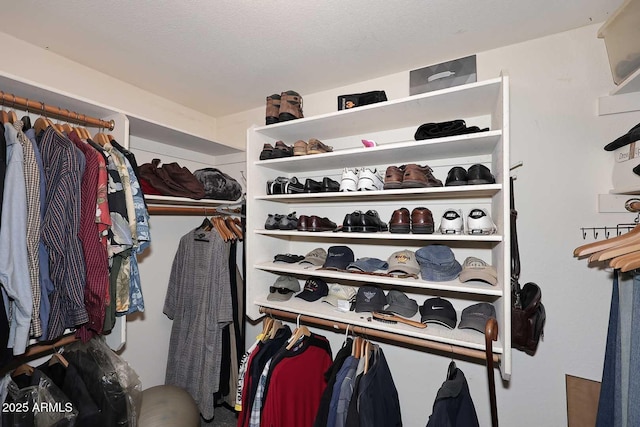 4506 E Lone Cactus Dr, Phoenix, AZ 85050 - view of spacious closet