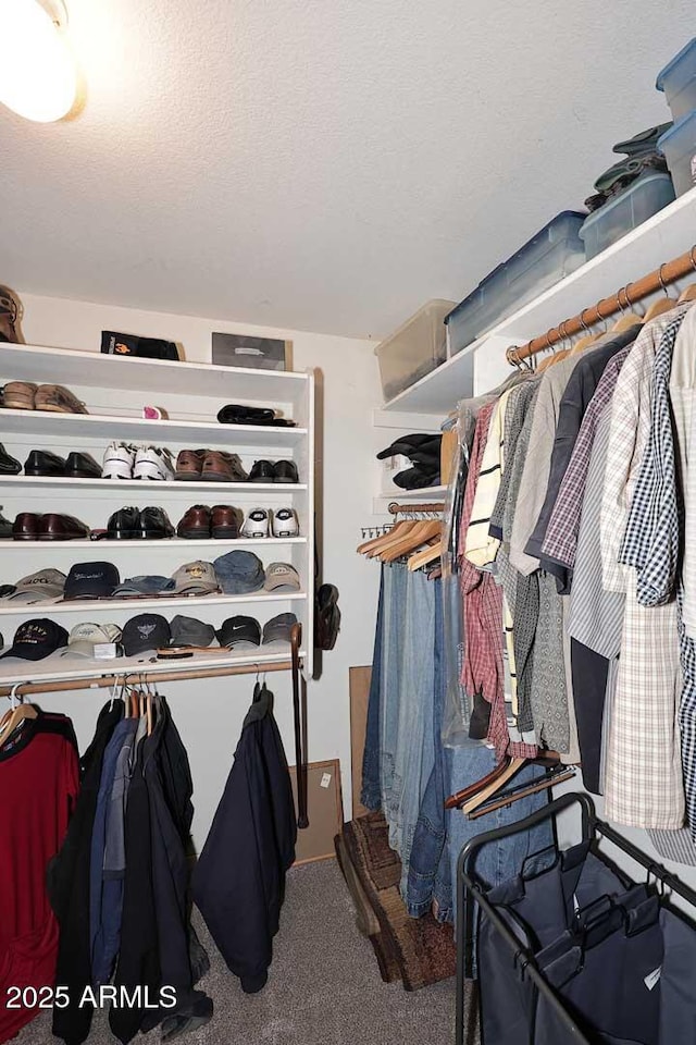 4506 E Lone Cactus Dr, Phoenix, AZ 85050 - walk in closet with carpet