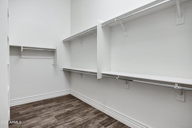 walk in closet featuring dark wood finished floors