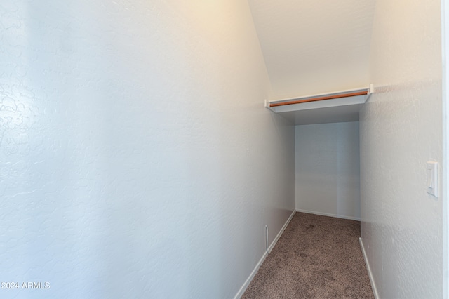 spacious closet featuring carpet flooring