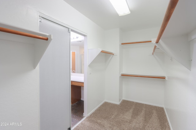 spacious closet featuring light colored carpet