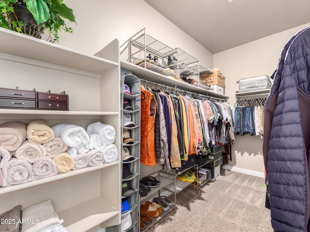 spacious closet featuring light carpet