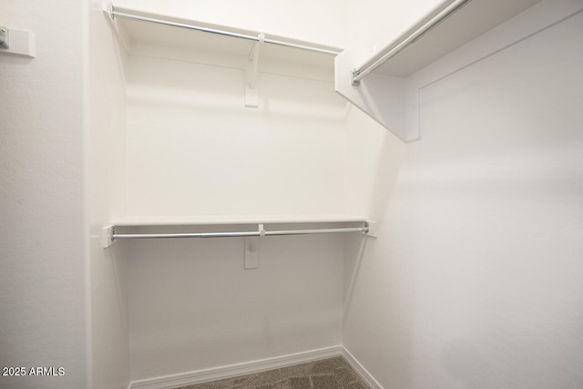 4242 E Erie St, Gilbert, AZ 85295 - spacious closet featuring carpet flooring