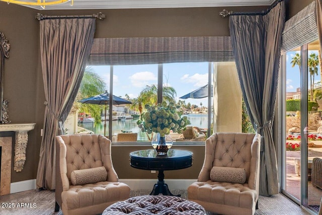 sitting room featuring a water view and a healthy amount of sunlight