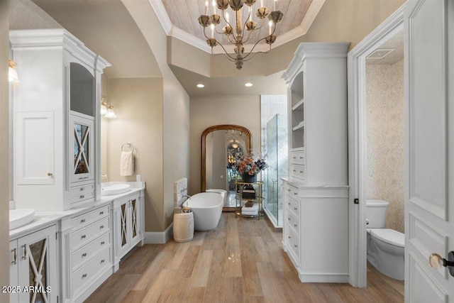 bathroom with ornamental molding, wood-type flooring, vanity, and a tray ceiling