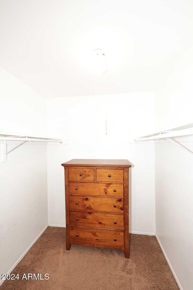 walk in closet with light colored carpet