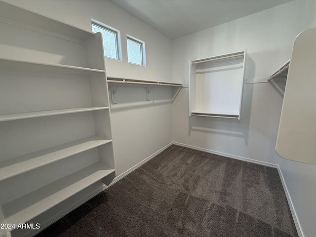 spacious closet featuring carpet floors