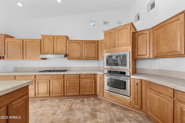 kitchen featuring appliances with stainless steel finishes and high vaulted ceiling