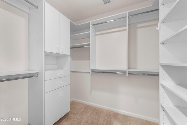 spacious closet with light colored carpet