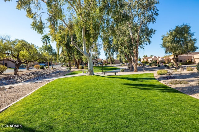 view of property's community featuring a yard