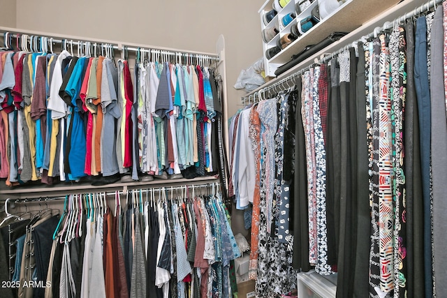 view of spacious closet