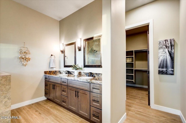 bathroom with hardwood / wood-style flooring and vanity